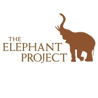 The Elephant Project screenshot