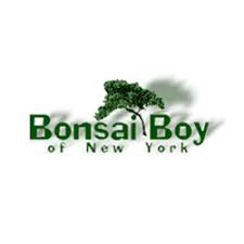 Bonsai Boy screenshot