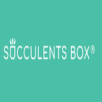 Succulents Box screenshot