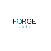 Forge Skin screenshot