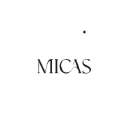 MICAS screenshot