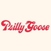 Psilly Goose screenshot